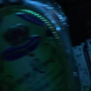 Meet your Posher, Kyle